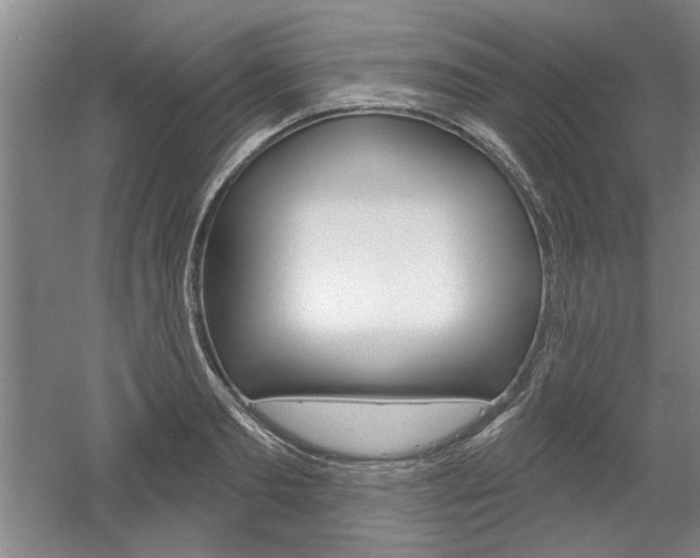 X0000061750893200512021109