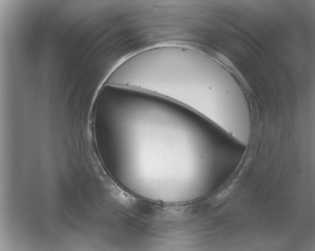 X0000061750908200512021109