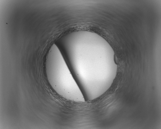 X0000061750913200512021108