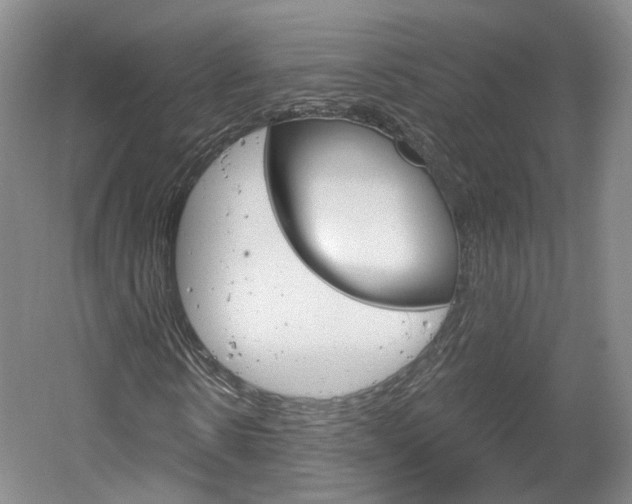 X0000061750914200512021108