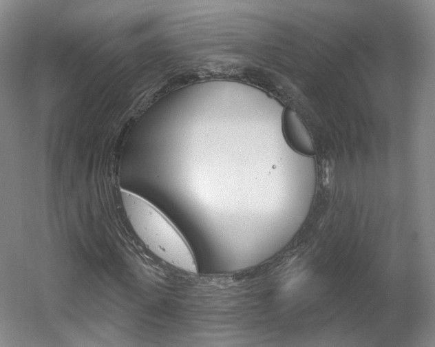 X0000061750915200512021108