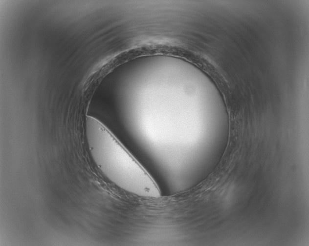 X0000061750919200512021108