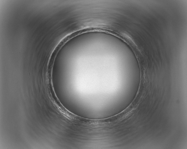 X0000061750924200512021108
