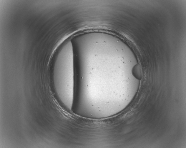 X0000061750925200512021108