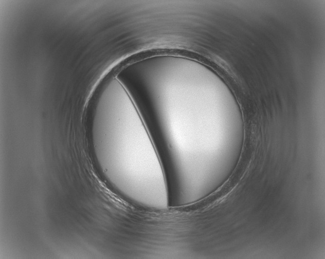 X0000061750926200512021108
