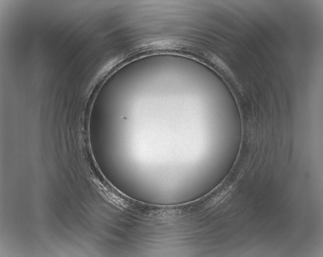 X0000061750930200512021108