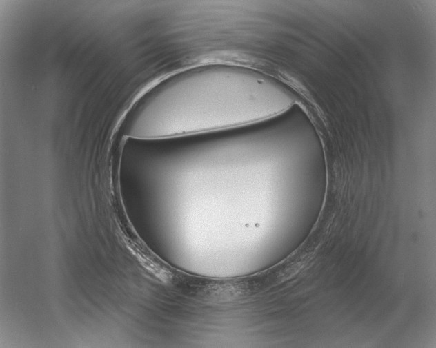 X0000061750931200512021108