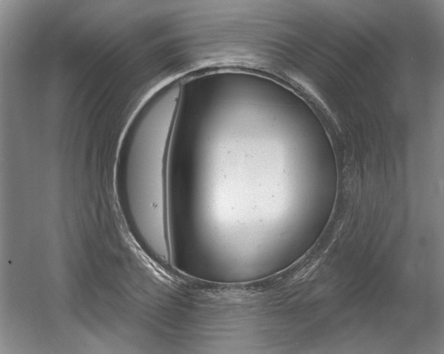 X0000061750932200512021108