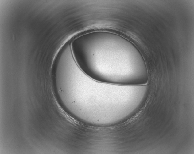 X0000061750934200512021108