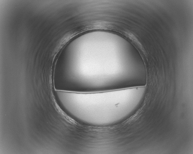 X0000061750938200512021108
