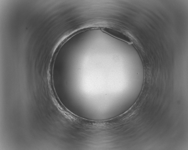 X0000061750944200512021108