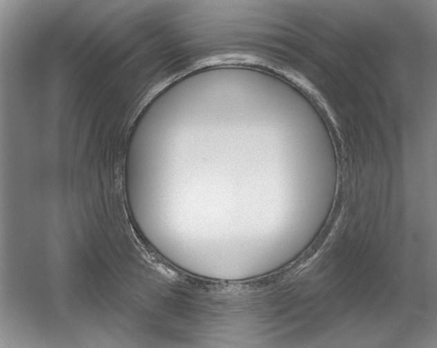 X0000061750945200512021108