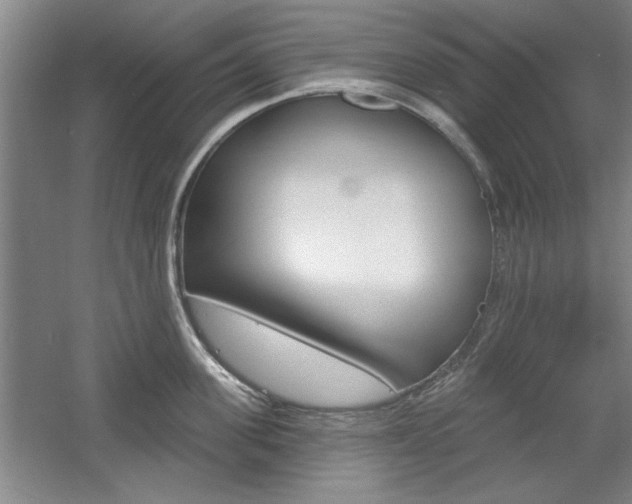 X0000061750955200512021108