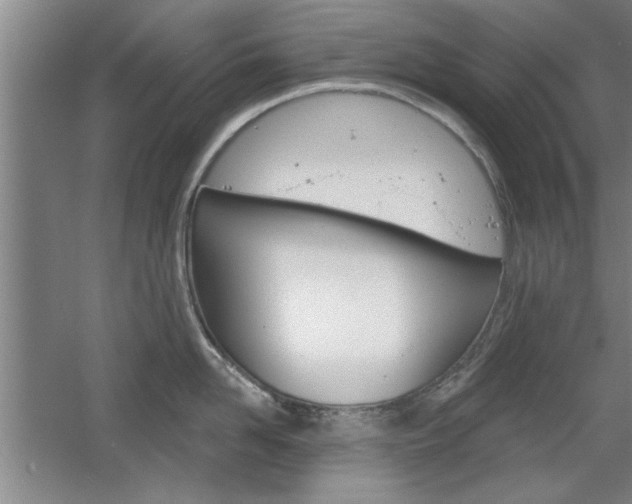 X0000061750958200512021108