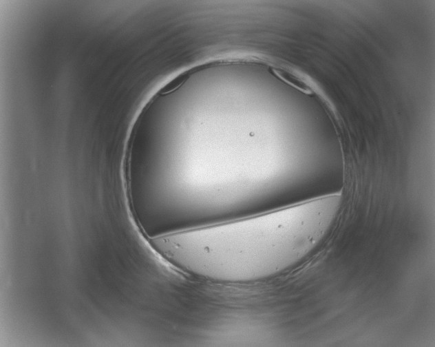 X0000061750959200512021108