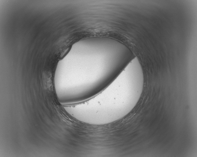 X0000061750963200512021108