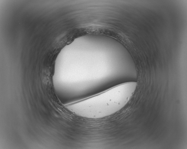 X0000061750964200512021108