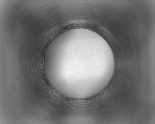 X0000061750966200512021107