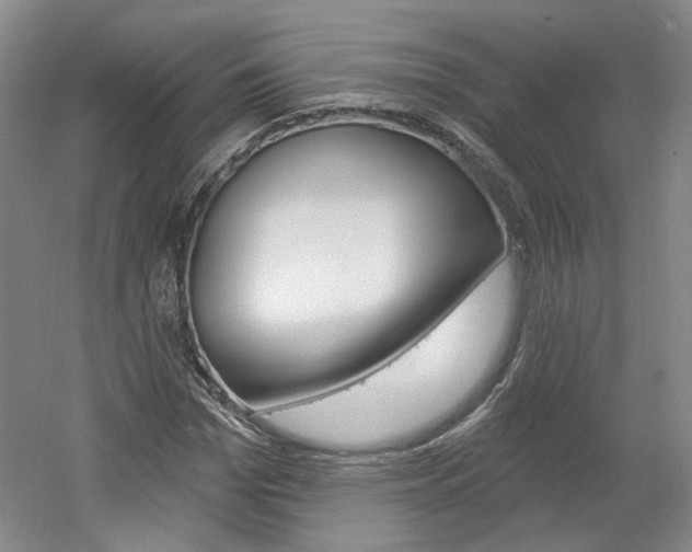 X0000061750969200512021107