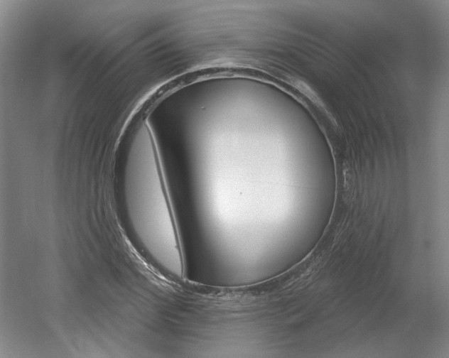 X0000061750972200512021107