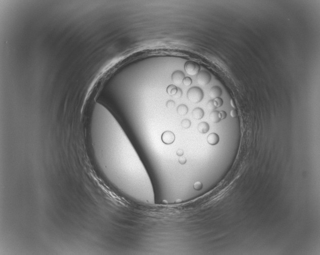 X0000061750974200512021107
