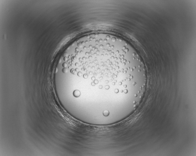 X0000061750978200512021107