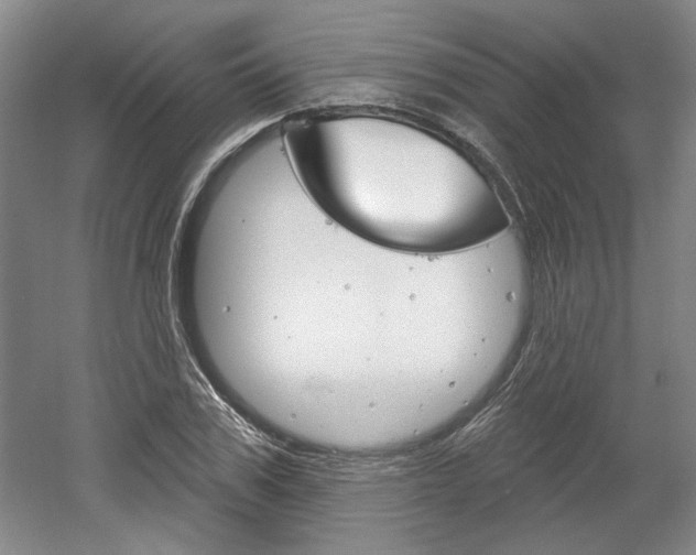 X0000061750979200512021107