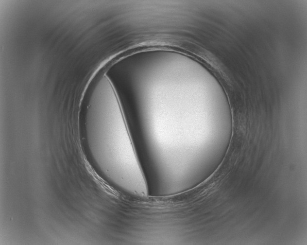 X0000061750980200512021107