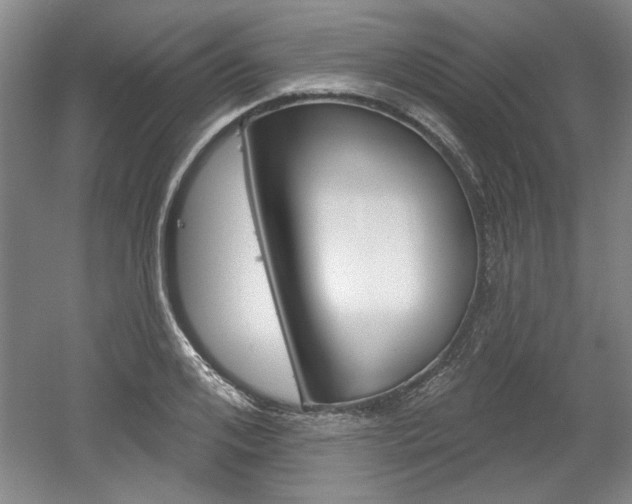 X0000061750984200512021107