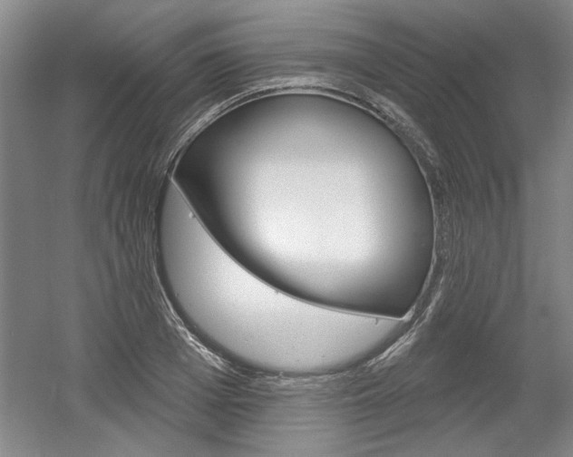 X0000061750985200512021107