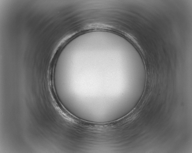 X0000061750987200512021107