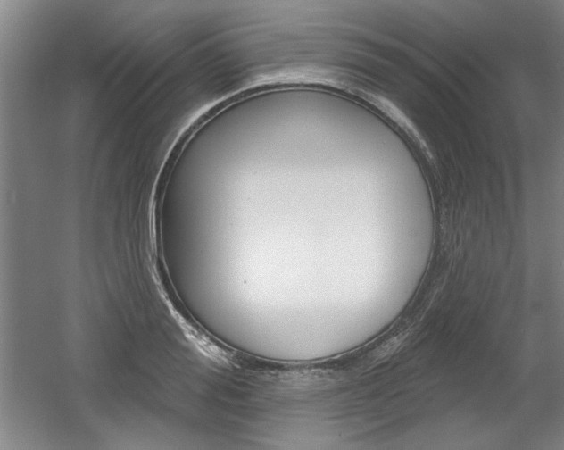 X0000061750988200512021107