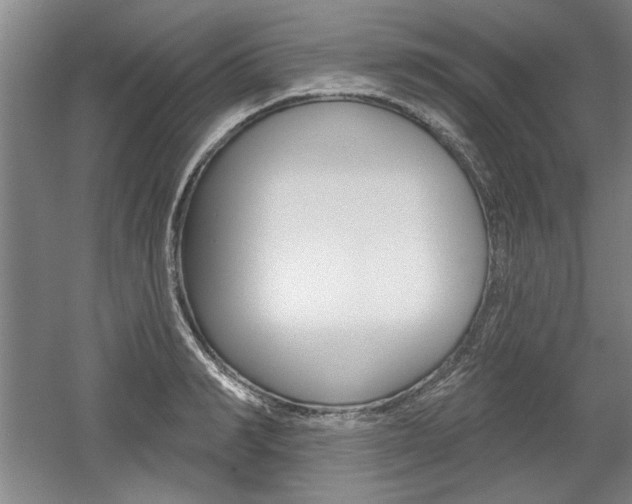 X0000061750990200512021107