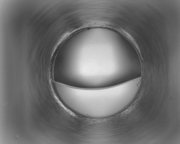 X0000061750997200512021107