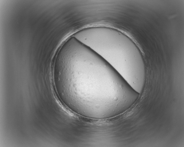X0000061750998200512021107