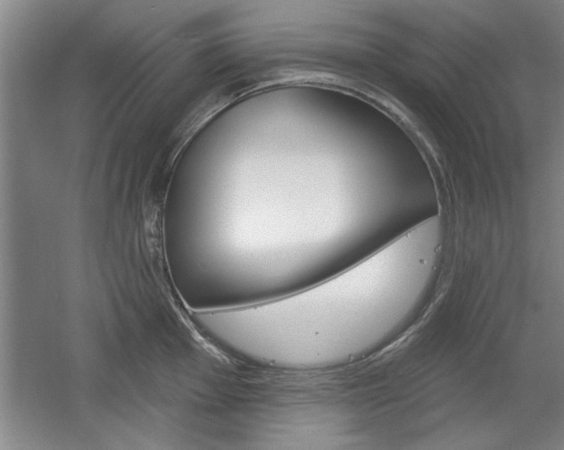 X0000061751001200512021107