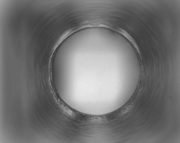 X0000061751002200512021107