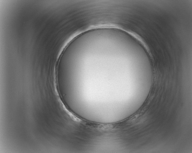 X0000061751006200512021107