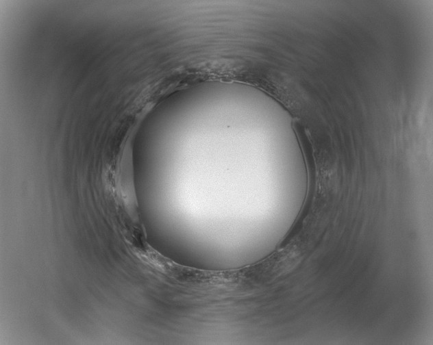 X0000061751010200512021106