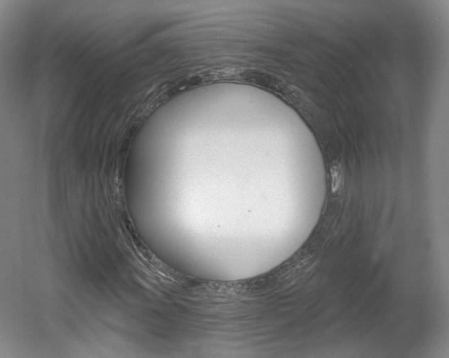 X0000061751011200512021106