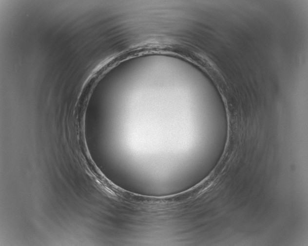 X0000061751018200512021106
