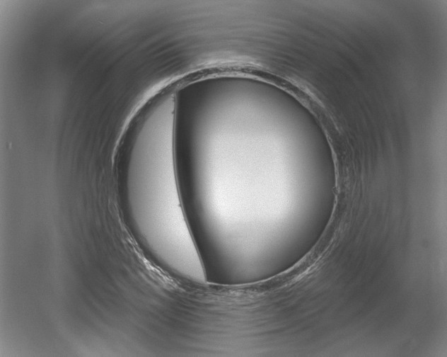 X0000061751022200512021106