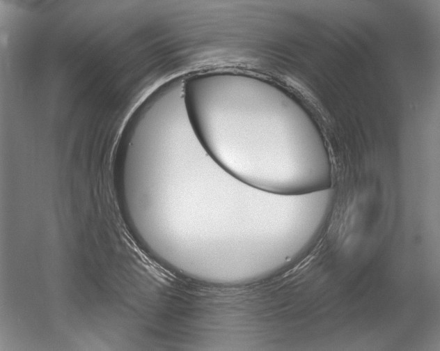 X0000061751023200512021106
