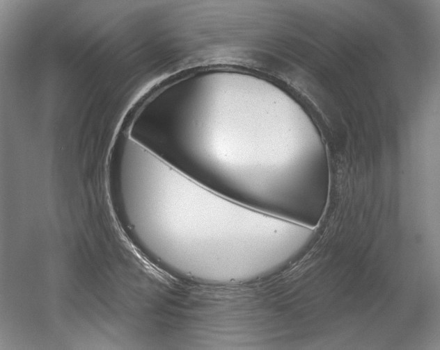 X0000061751024200512021106