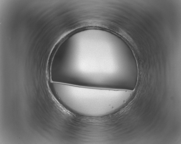 X0000061751028200512021106