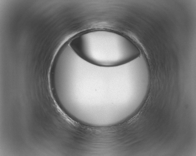X0000061751032200512021106