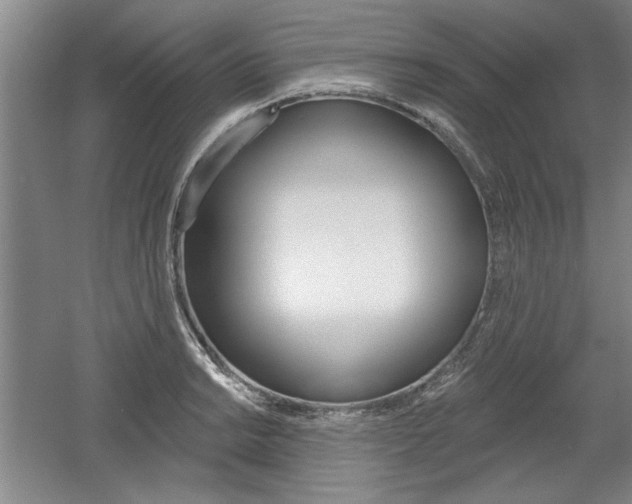 X0000061751038200512021106