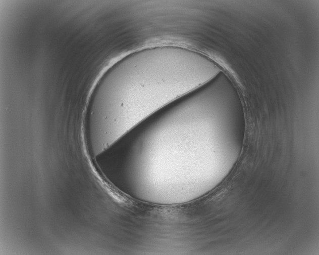 X0000061751040200512021106