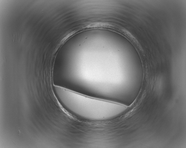 X0000061751041200512021106