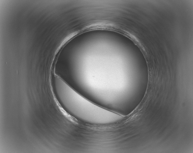 X0000061751042200512021106